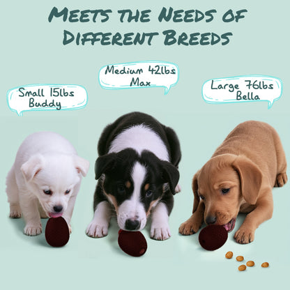 SAMFAT 2-in-1 Enrichment Chew Toy for Dogs - Frozen Treat Toy & Dispensing Dog Puzzles Toy, Fillable Rubber Interactive Toy, Keeps Dogs Busy, Reduces Anxiety, Safe & Easy to Clean